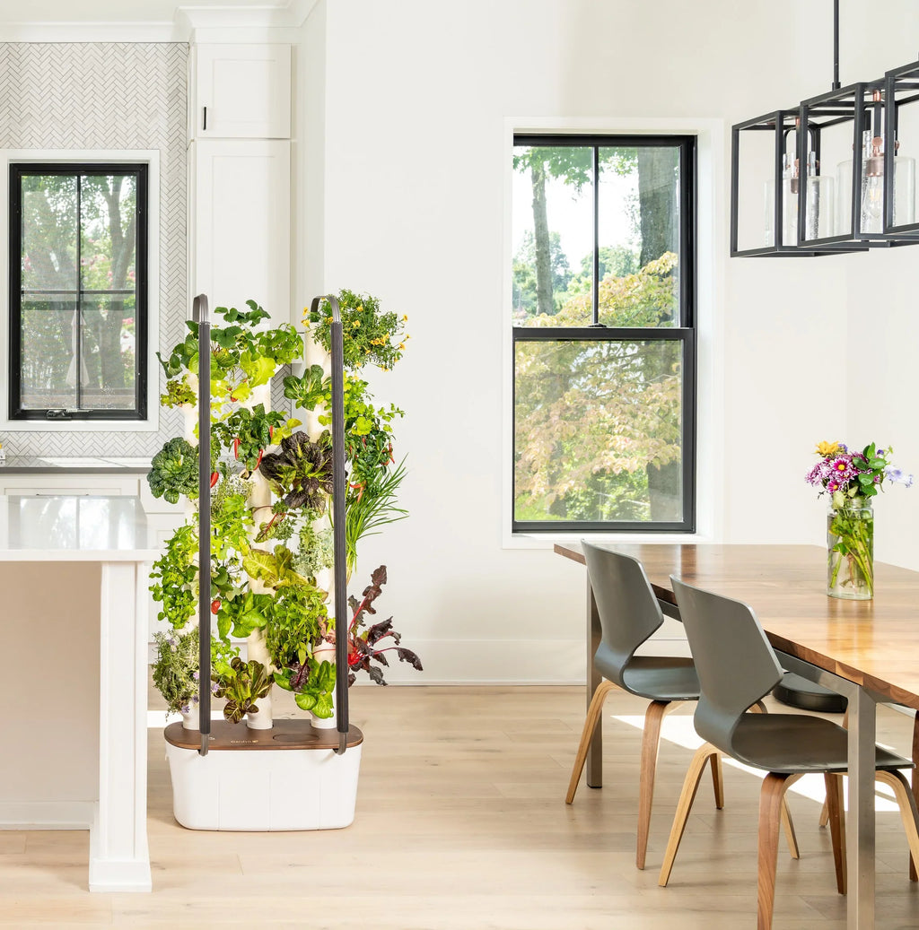Gardyn 3.0 Hydroponics Growing System & Vertical Garden Planter | Indoor Smart Garden| Includes 30 Non-GMO Indoor Plants, Herbs & Vegetables & LED Grow Lights for Your Home Indoor Gardening System