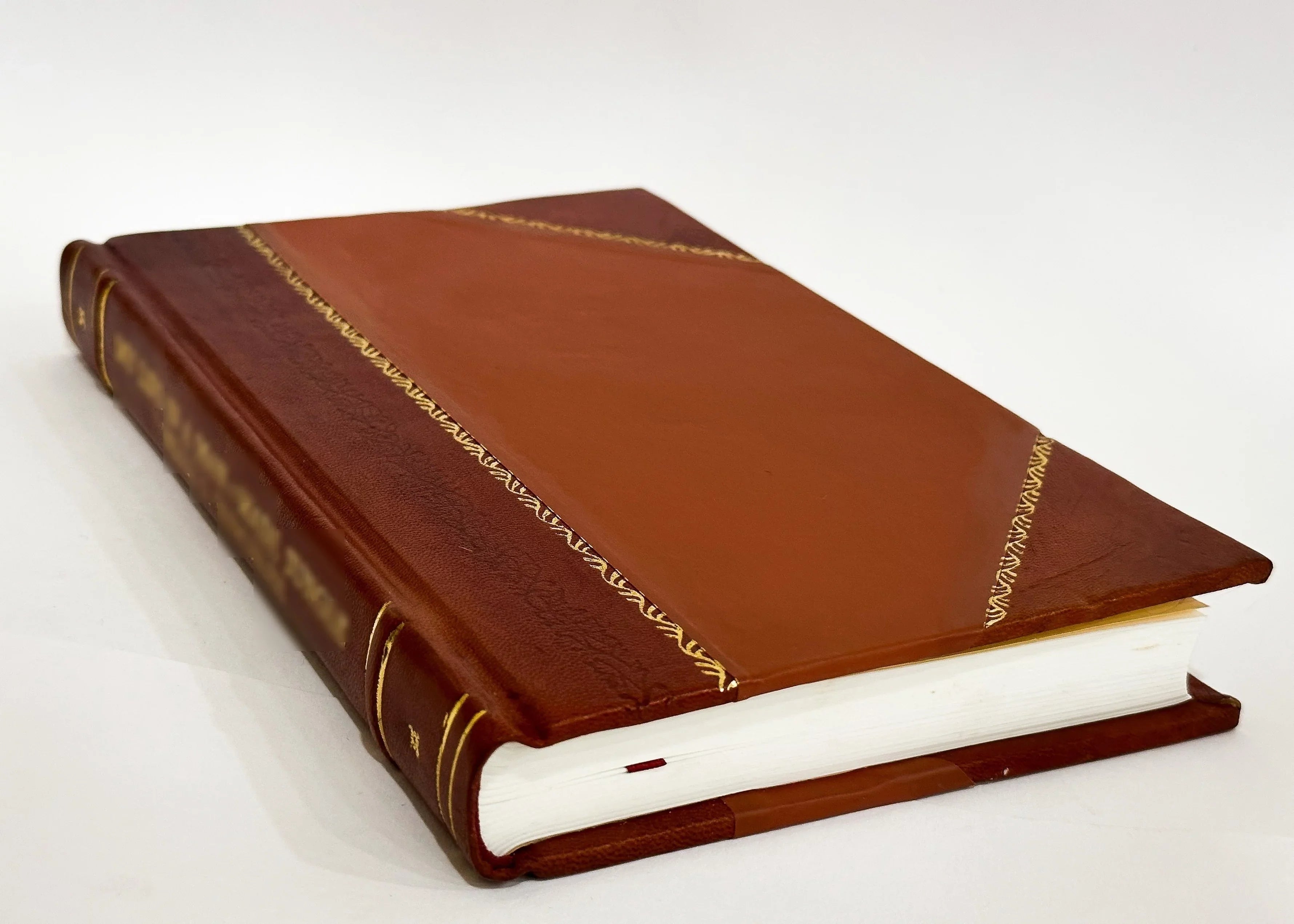 Phillips Brooks'S Poems (1890) [Leather Bound]