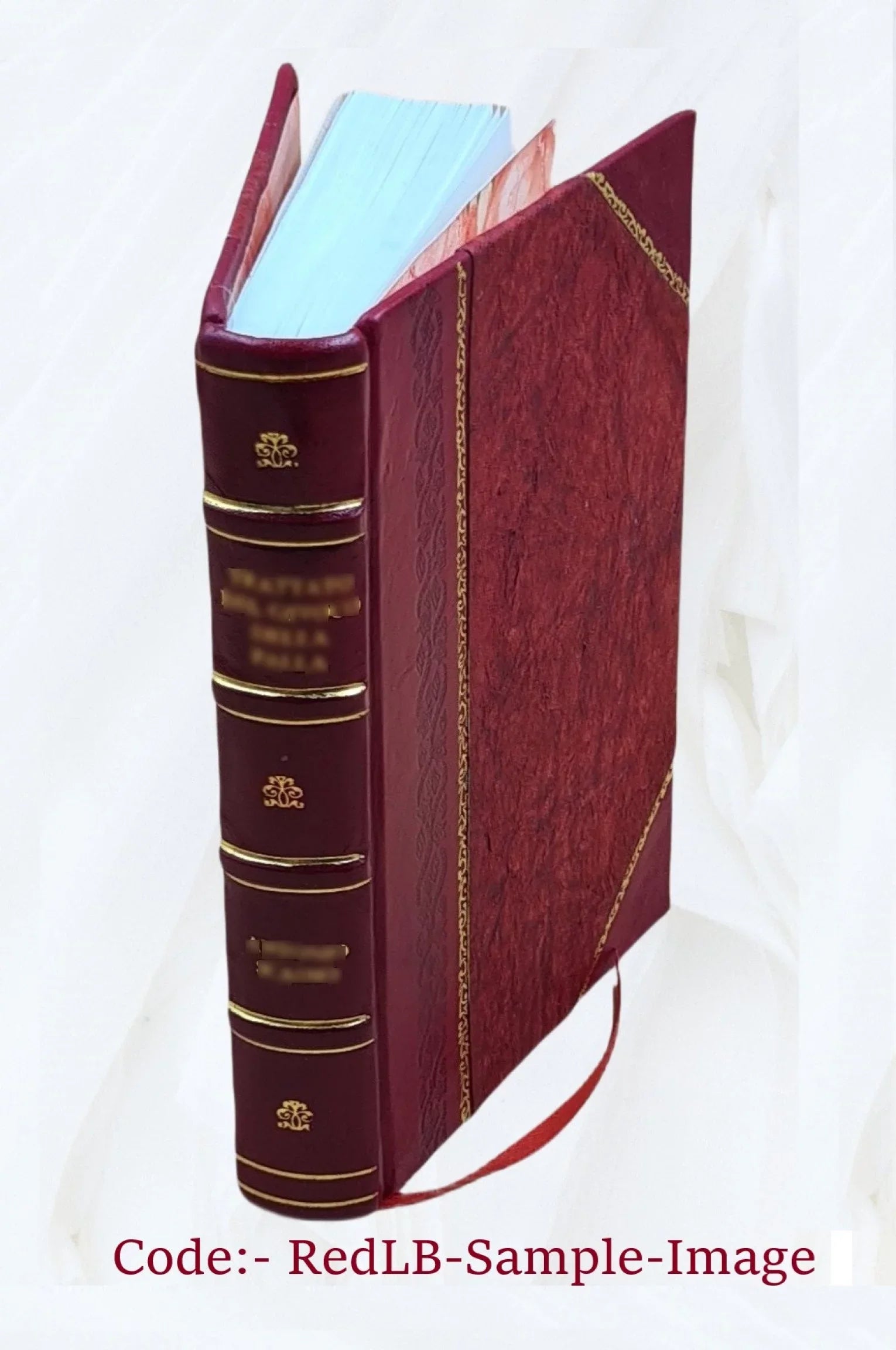 Souvenirs ([Reproduction en fac-similé]) / J.-B. Nompère de Champagny 1846 [Leather Bound]